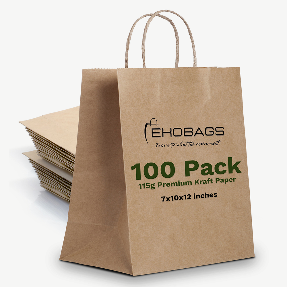 Granvia Kraft Paper Gift Bags with Handles, Holds 13.8L
