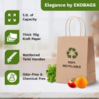 Elegance Small Kraft Paper Gift Bags with Handles, Holds 3.4L