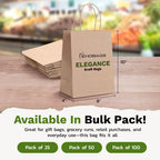 Elegance Small Kraft Paper Gift Bags with Handles, Holds 3.4L