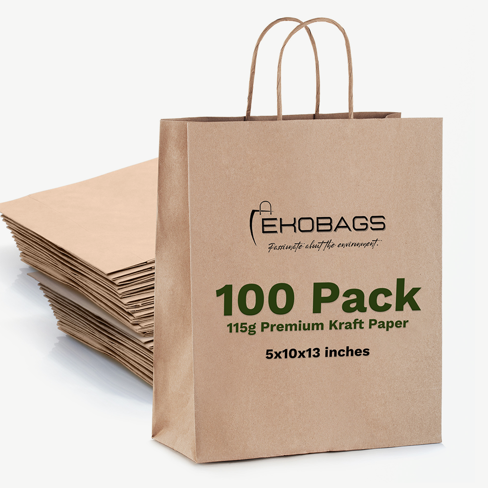 Nobelle Kraft Paper Gift Bags with Handles, Holds 10.5L