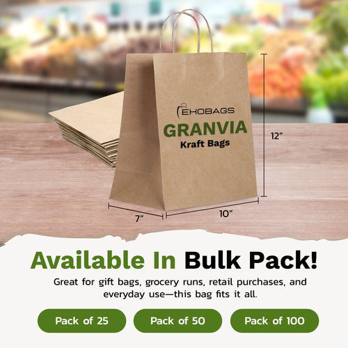 Granvia Kraft Paper Gift Bags with Handles, Holds 13.8L