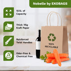 Nobelle Kraft Paper Gift Bags with Handles, Holds 10.5L