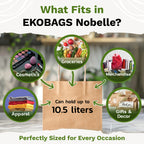 Nobelle Kraft Paper Gift Bags with Handles, Holds 10.5L