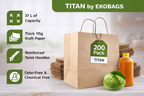 Titan Kraft Paper Gift Bags with Handles, Holds up to 37L/10 lbs