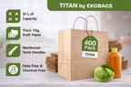 Titan Kraft Paper Gift Bags with Handles, Holds up to 37L/10 lbs